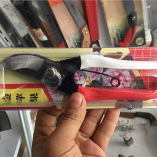 金蘋果手剪 ，整枝剪