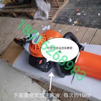 上海浦東，綠化割草，修剪旺季，注意綠籬機，草坪機，割灌機 日常保養(yǎng)